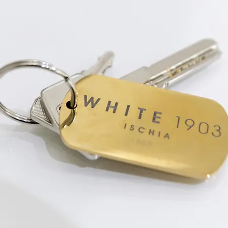 White 1903 - Rooftop Pool & Luxury Bed & Breakfast